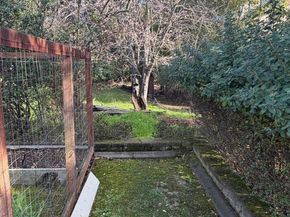 236 King Avenue C, Piedmont CA 94610