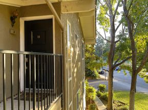 420 Alberto Way 5, Los Gatos CA 95032