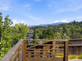 3801 Vineyard Drive, Redwood City CA 94061