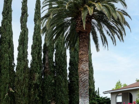 200 Westchester Drive, Los Gatos CA 95032