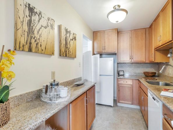 802 N Delaware Street 409, San Mateo CA 94401