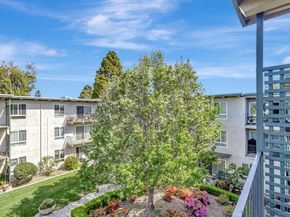 802 N Delaware Street 409, San Mateo CA 94401