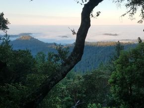 24854 Skyland Road, Los Gatos CA 95033