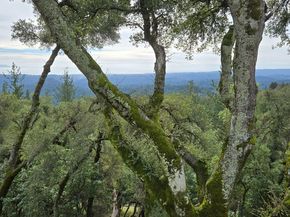 24854 Skyland Road, Los Gatos CA 95033