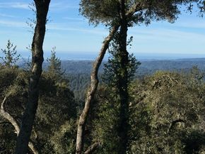 24854 Skyland Road, Los Gatos CA 95033