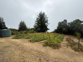 24854 Skyland Road, Los Gatos CA 95033