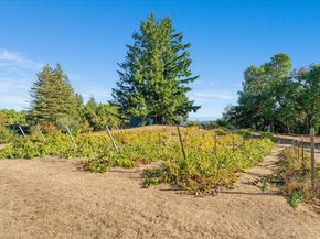 24854 Skyland Road, Los Gatos CA 95033