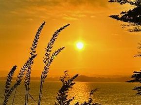 60 Seascape Resort Drive, Aptos CA 95003