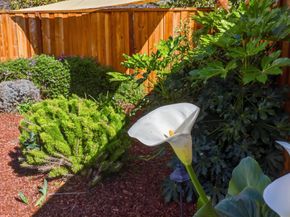 813 Cascade Drive, Sunnyvale CA 94087