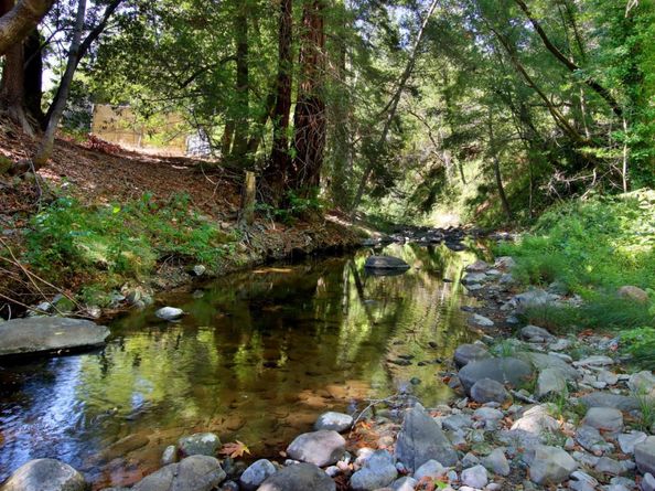 15715 Forest Hill Drive, Boulder Creek CA 95006