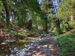 15715 Forest Hill Drive, Boulder Creek CA 95006