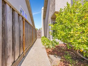 1003 Avalon Avenue, Foster City CA 94404