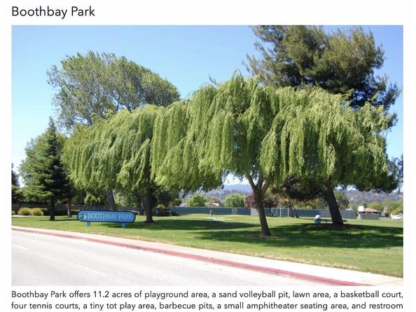 1003 Avalon Avenue, Foster City CA 94404