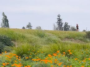 415 Spruce Circle, Watsonville CA 95076