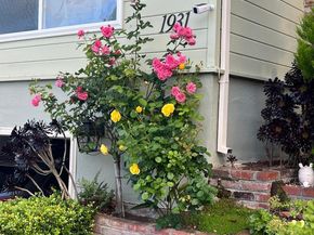 1931 Glen Avenue, San Bruno CA 94066