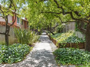 22835 Poplar Grove Square, Cupertino CA 95014