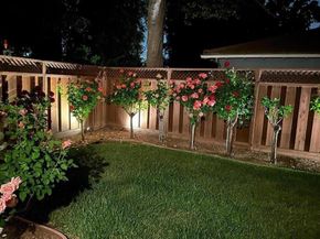 1701 S Springer Road, Mountain View CA 94040