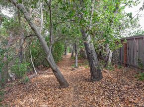 10961 Kester Drive, Cupertino CA 95014