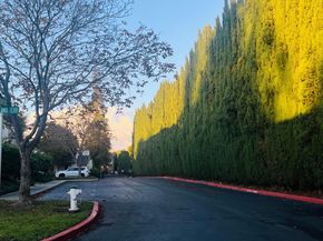 618 S Fair Oaks Avenue, Sunnyvale CA 94086