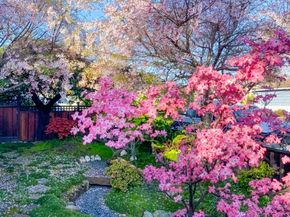 1318 Huron Avenue, San Mateo CA 94401