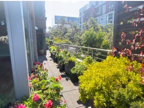 219 BRANNAN Street 2F, San Francisco CA 94107