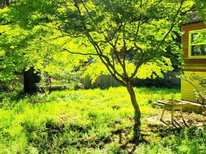 785 Cathedral, Aptos CA 95003