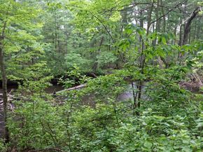 450 Mount Wayte Ave, Framingham MA 01702