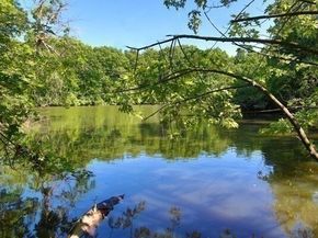 33 Pond Ave PH1207, Brookline MA 02445