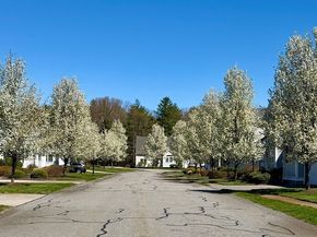 877 Auburnville Way H7, Whitman MA 02382