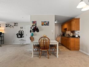 10 Village Green Ln 19, Natick MA 01760