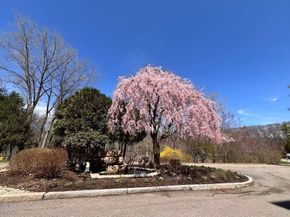 210 Nahanton St 522, Newton MA 02459