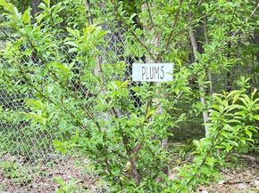 276 New Sherborn Rd, Athol MA 01331