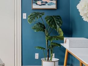 61 North Street 1, Somerville MA 02144