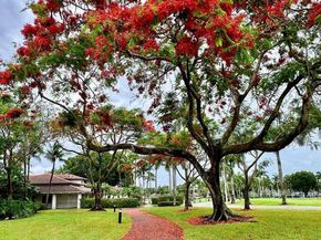 10794 NW 70th St, Doral FL 33178