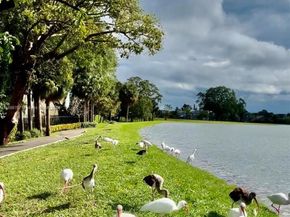 4400 Hillcrest Dr 114B, Hollywood FL 33021