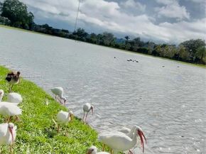 4400 Hillcrest Dr 114B, Hollywood FL 33021