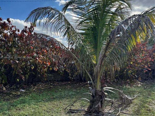 36 NW 151st St, Miami FL 33169