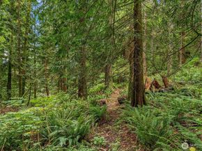 27515 SE 154th Place, Issaquah WA 98027
