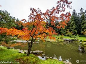 919 23rd Avenue E A, Seattle WA 98112