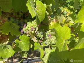 6007 SW 240th Street, Vashon WA 98070