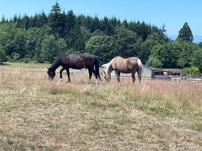 6007 SW 240th Street, Vashon WA 98070