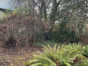 7332 9th Avenue NW, Seattle WA 98117