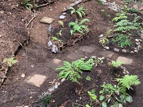 12527 NE 117th Place F5, Kirkland WA 98034