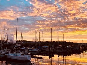 1450 S Donovan Street, Seattle WA 98108