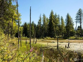 5914 Trace Drive SW, Port Orchard WA 98367