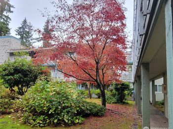 5802 200th Street SW