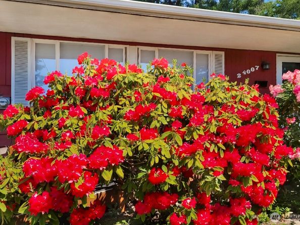 24007 44th Avenue W, Mountlake Terrace WA 98043