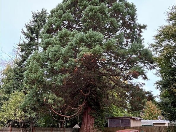 18421 44th Avenue W, Lynnwood WA 98037