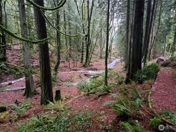 9506 240 Avenue SE, Issaquah WA 98027