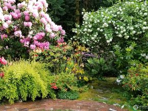 9506 240 Avenue SE, Issaquah WA 98027